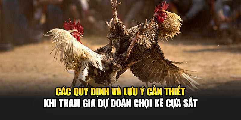 Kinh Nghiệm Chơi Đá Gà Cựa Sắt Tại Nhà Cái 188Bet Uy Tín 3 Các quy định và lưu ý cần thiết khi tham gia dự đoán chọi kê cựa sắt