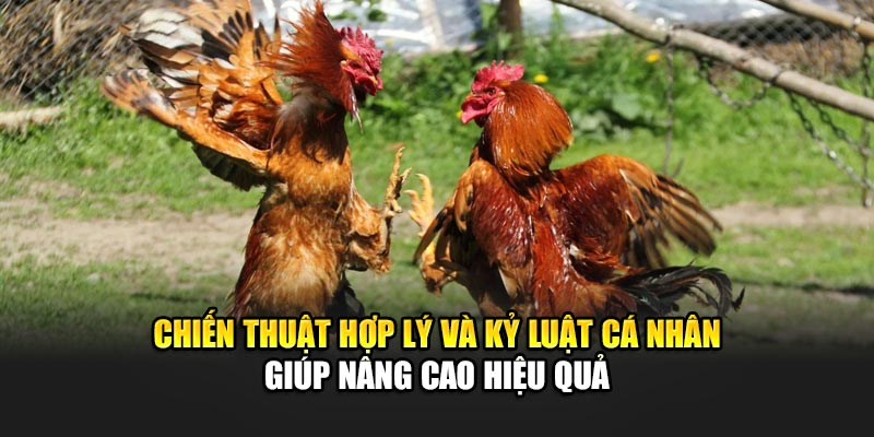 Chiến thuật hợp lý và kỷ luật cá nhân giúp nâng cao hiệu quả