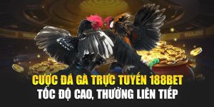 Cược Đá Gà Trực Tuyến 188BET – Tốc Độ Cao, Thưởng Liên Tiếp